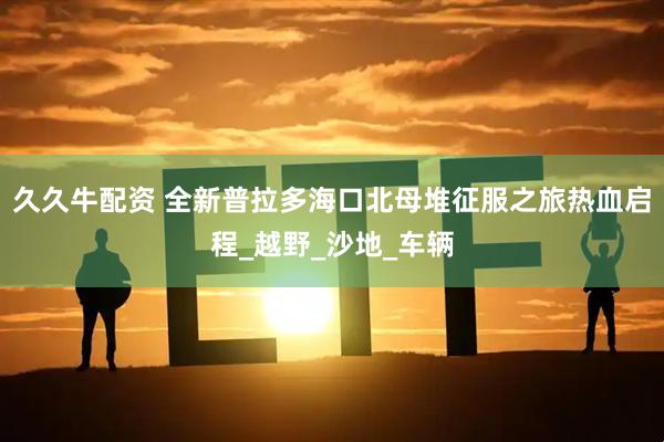 久久牛配资 全新普拉多海口北母堆征服之旅热血启程_越野_沙地_车辆
