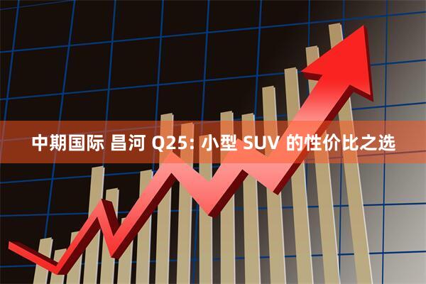 中期国际 昌河 Q25: 小型 SUV 的性价比之选