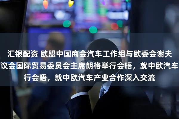汇银配资 欧盟中国商会汽车工作组与欧委会谢夫乔维奇内阁及欧洲议会国际贸易委员会主席朗格举行会晤，就中欧汽车产业合作深入交流