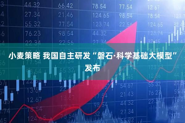 小麦策略 我国自主研发“磐石·科学基础大模型”发布
