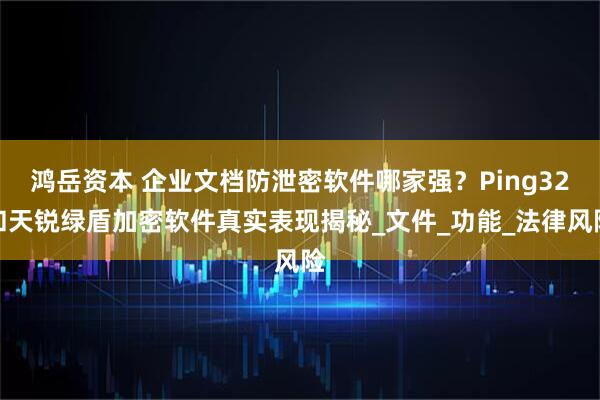 鸿岳资本 企业文档防泄密软件哪家强？Ping32和天锐绿盾加密软件真实表现揭秘_文件_功能_法律风险